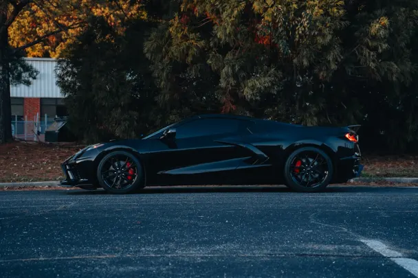 Casino Sticky Wilds Android/iOS App